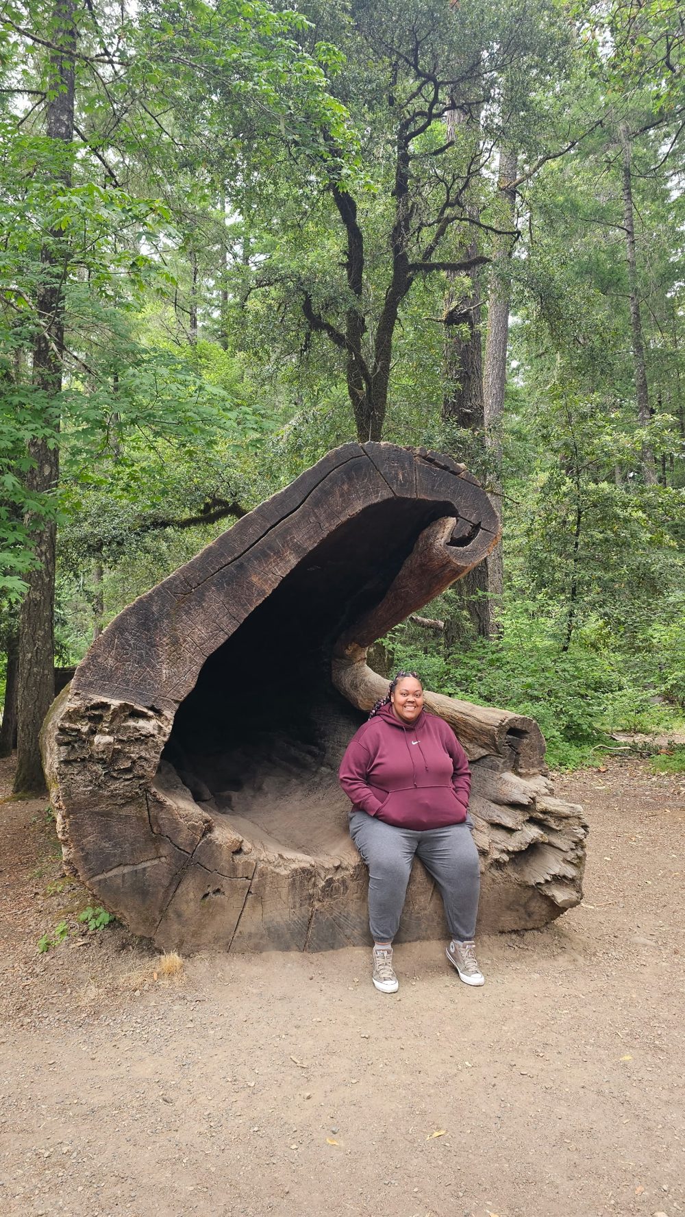 Jasmine sitting in a hollow redwood log on a forest trail